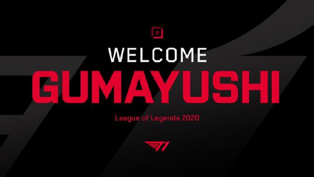 证明了他们 证明了他们